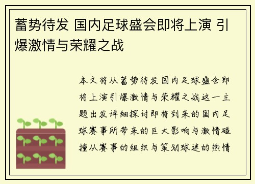 蓄势待发 国内足球盛会即将上演 引爆激情与荣耀之战