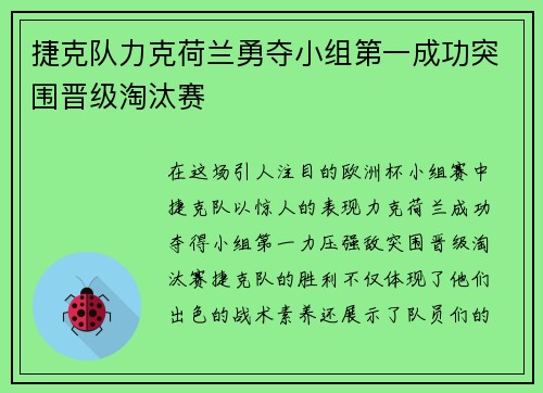 捷克队力克荷兰勇夺小组第一成功突围晋级淘汰赛